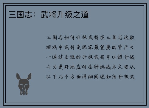 三国志：武将升级之道